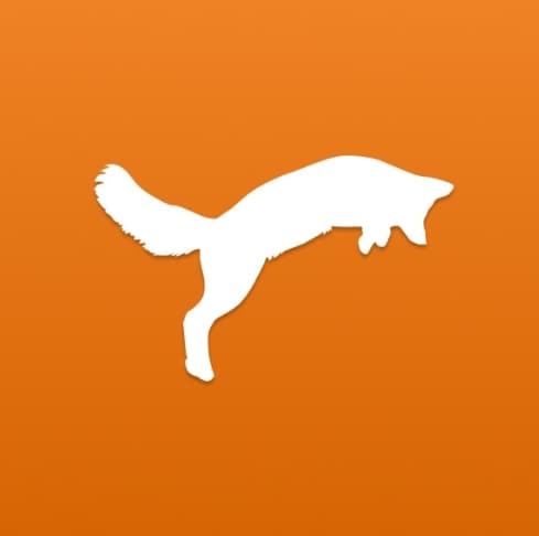 FastFox